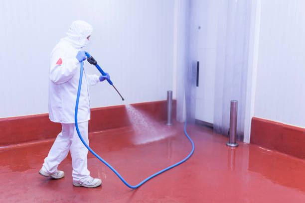 Best Warehouse Cleaning  in St Ignace, MI